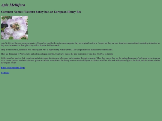 Apis_mellifera screenshot