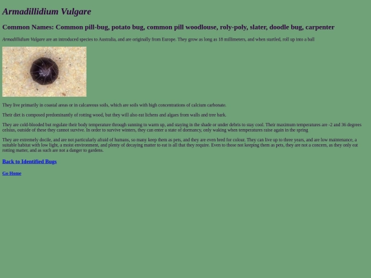 Armadillidium_vulgare screenshot