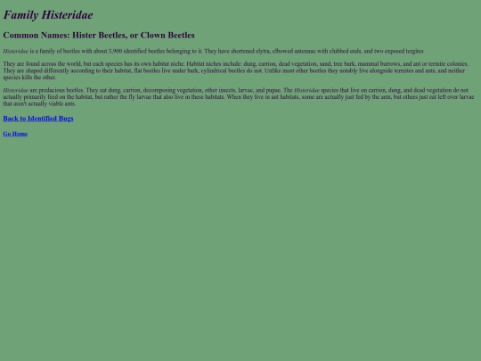 Histeridae screenshot