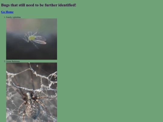 unidentified screenshot