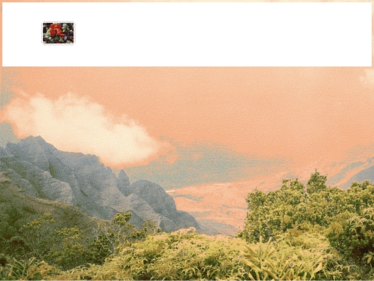 aviary screenshot
