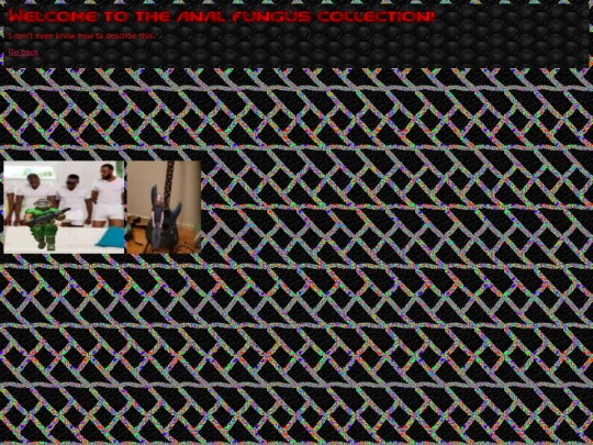 shitposting screenshot
