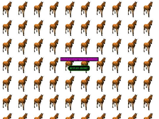 pages/404 screenshot