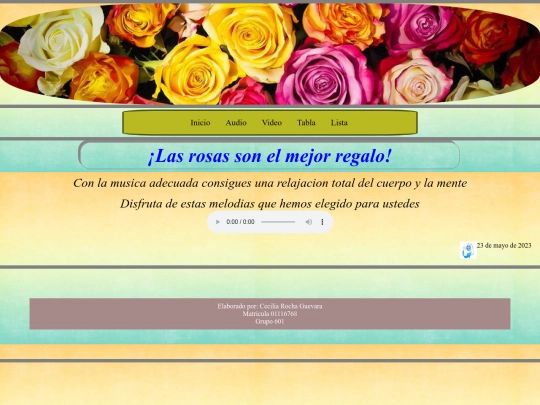 Paginas/audio screenshot