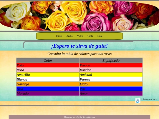 Paginas/tabla screenshot