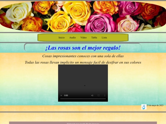Paginas/video screenshot