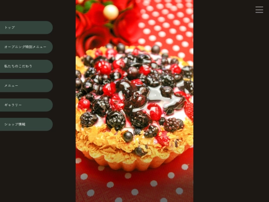 _manual/manual2_menu screenshot