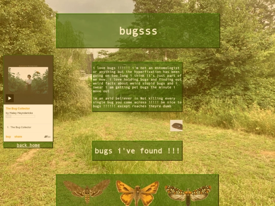 bugs screenshot