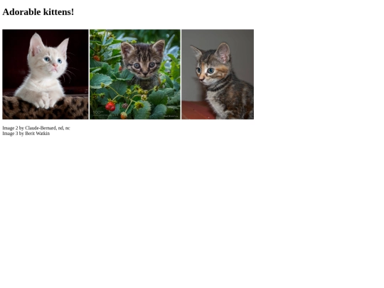 ImageGallery_VeronikaShabun screenshot