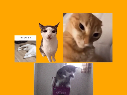 catlandia screenshot