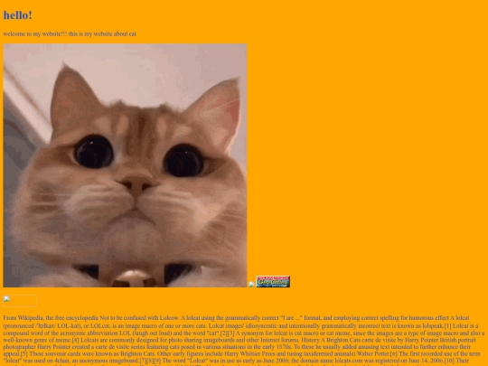 catsaretehbest screenshot