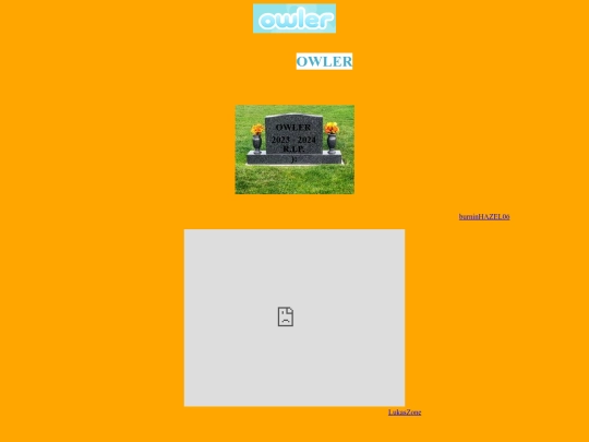 owlerfuneral screenshot