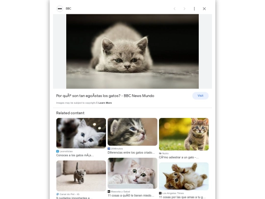 imgres (1) screenshot