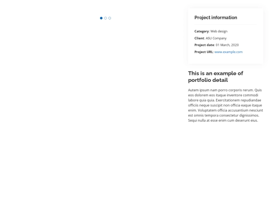 portfolio-details screenshot