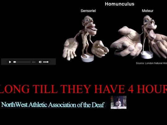homunculus screenshot