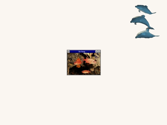 solong screenshot