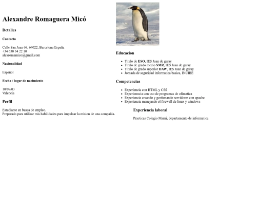 html/CurriculumAlex screenshot
