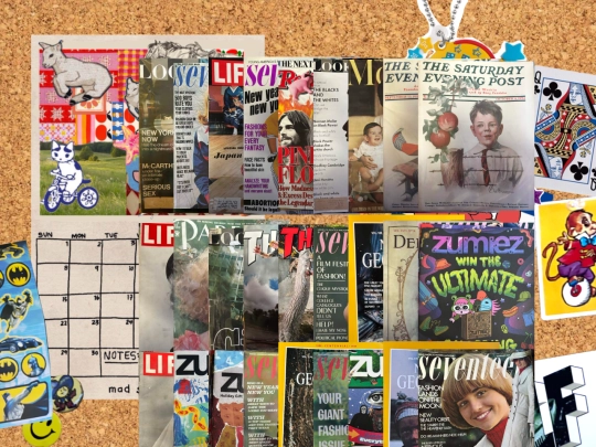 Shrines/magazine-collection screenshot