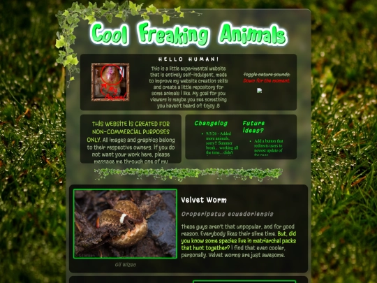 index screenshot
