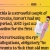 gerdparty.neocities.org avatar