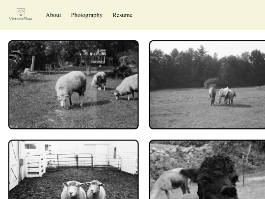 Photography screenshot