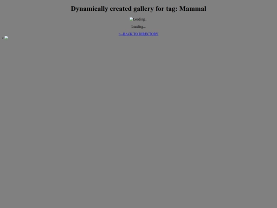 tagDirectoryTester/Mammal screenshot