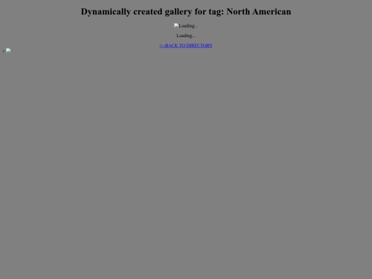 tagDirectoryTester/North American screenshot
