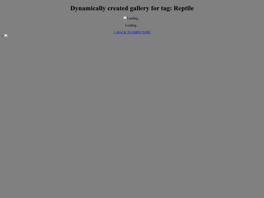 tagDirectoryTester/Reptile screenshot
