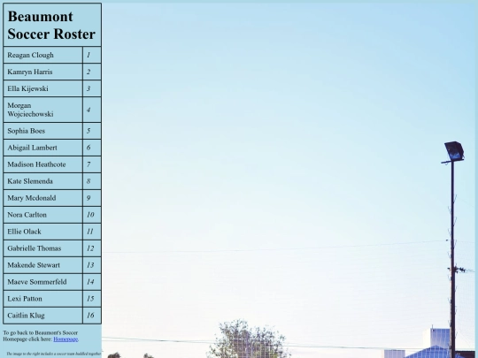 bmontroster screenshot