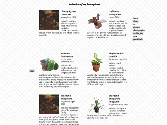 plants screenshot