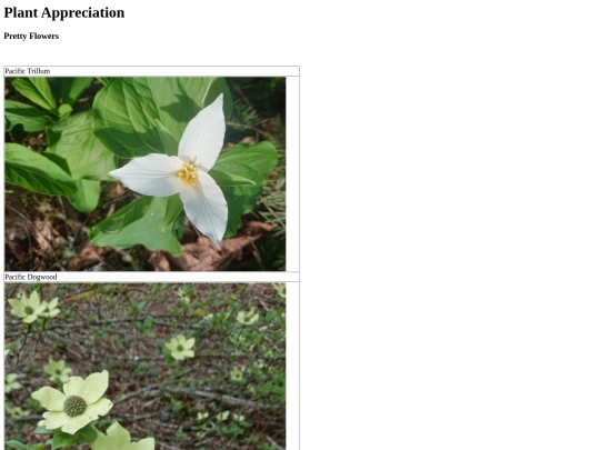 plants screenshot