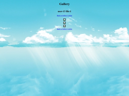 pir/gallery/user-13/file-1 screenshot