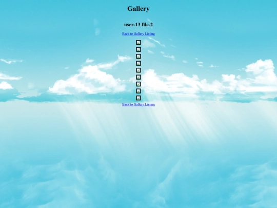 pir/gallery/user-13/file-2 screenshot