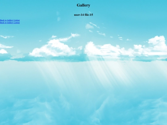 pir/gallery/user-14/file-15 screenshot
