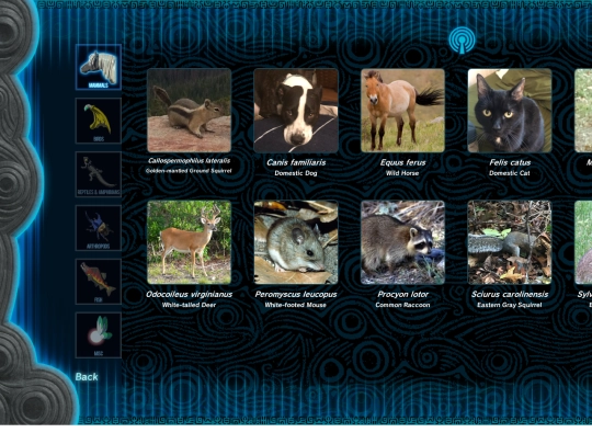 animals/mammals screenshot