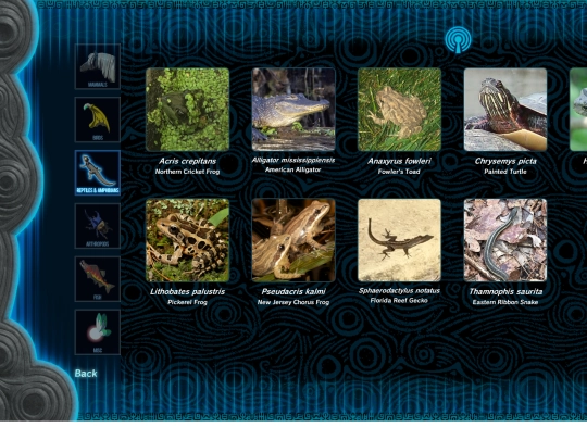 animals/reptiamphi screenshot