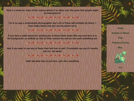 photos/main screenshot