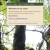 feathered-beast.neocities.org avatar