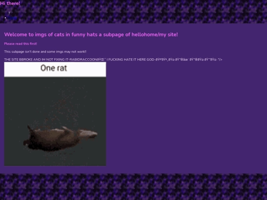 CatsInFunnyHats screenshot