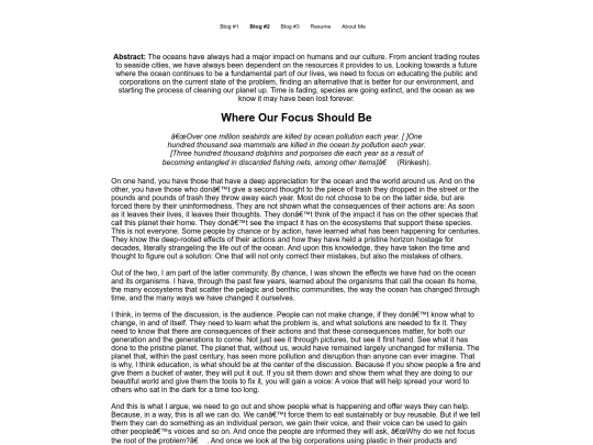 blog-two screenshot