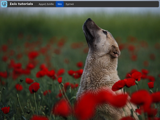 news screenshot