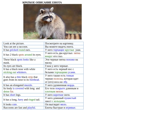 Raccoon2 screenshot