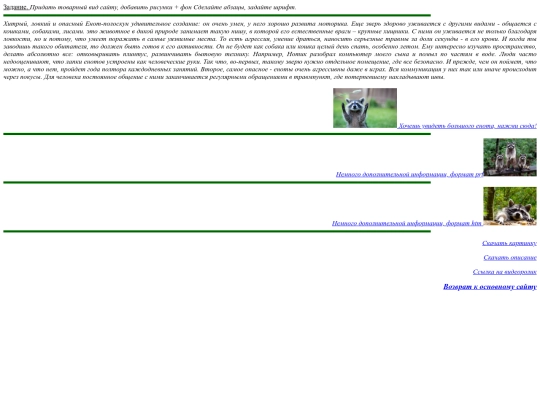 raccoon screenshot