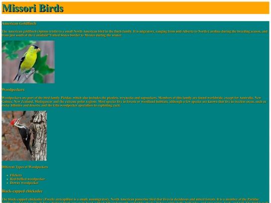 birds screenshot