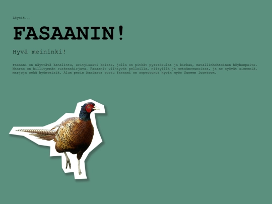lintubongaus_2000/fasaani screenshot