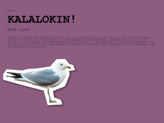 lintubongaus_2000/kalalokki screenshot