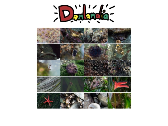 photos screenshot