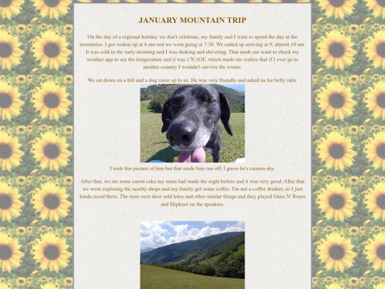 traveldiary/january screenshot