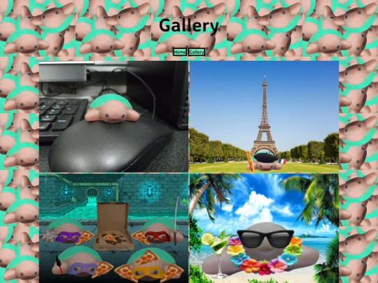 gallery screenshot