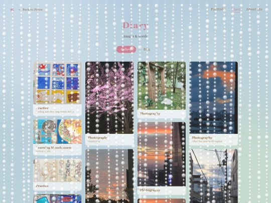 diary screenshot